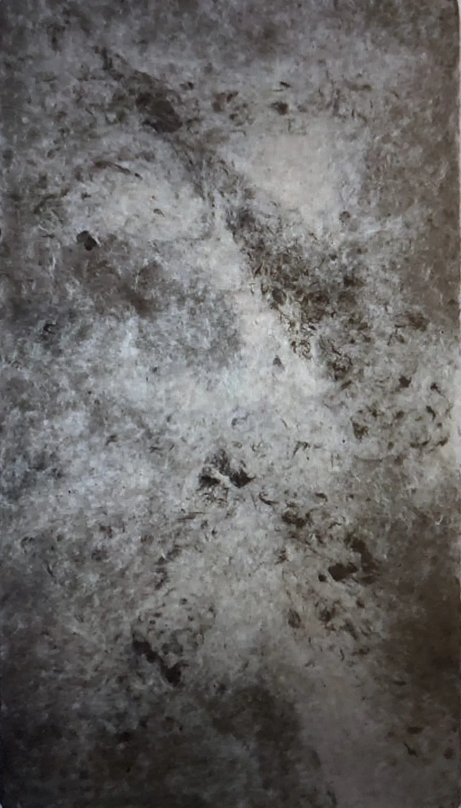 重疊的記憶 作品照片